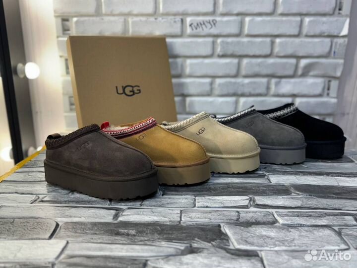 Угги UGG tazz tasman