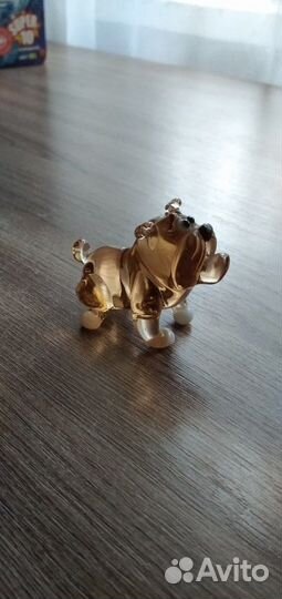 Собака стекло