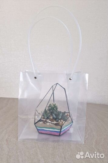 Подарок Суккуленты во флорариуме