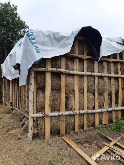 Сено в мини рулонах