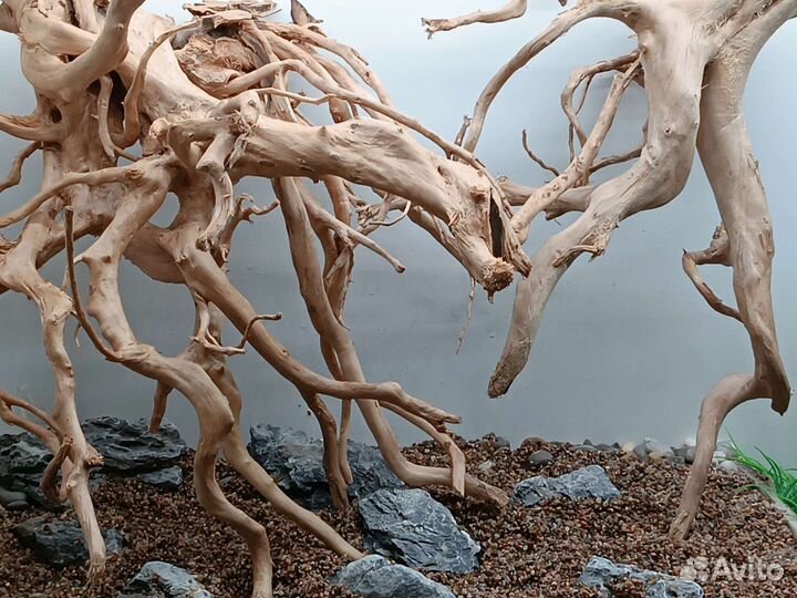 Натуральные Коряги. Декор для аквариума. Азалия