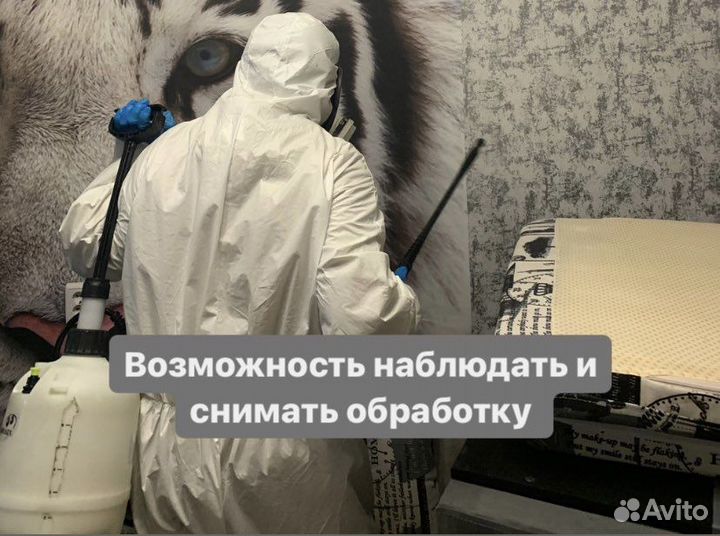 Обработка от тараканов, уничтожение клопов