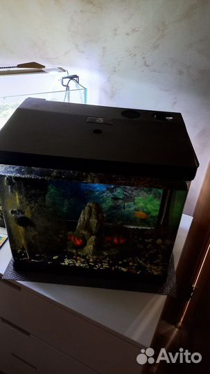 Аквариум и все для аквариума