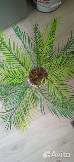 Папоротник искусственный