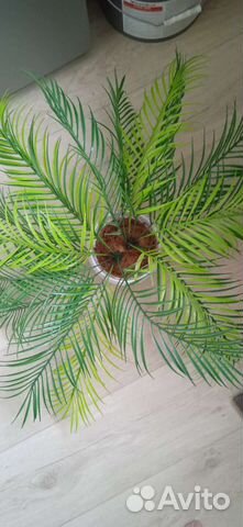 Папоротник искусственный