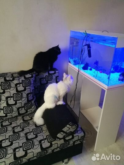 Аквариум 100 литров белый
