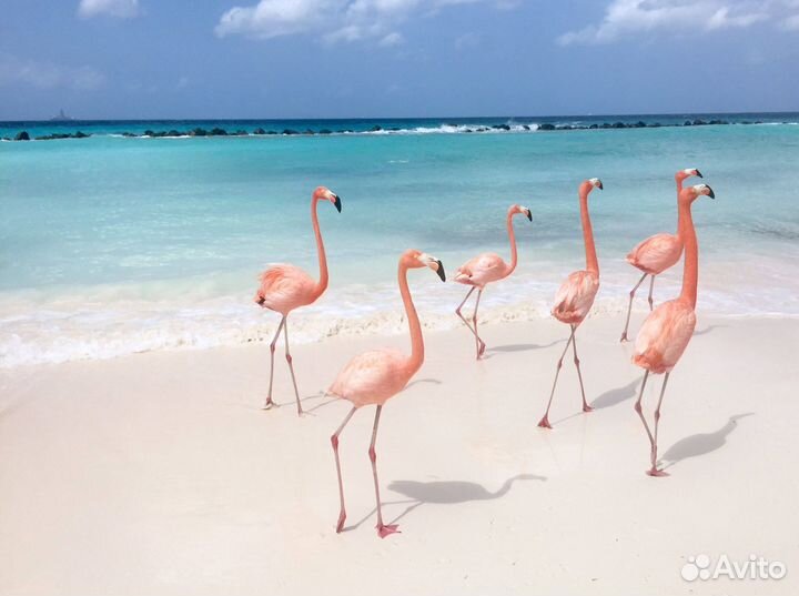 Горящие туры в кайо коко из Москвы от анекс тур