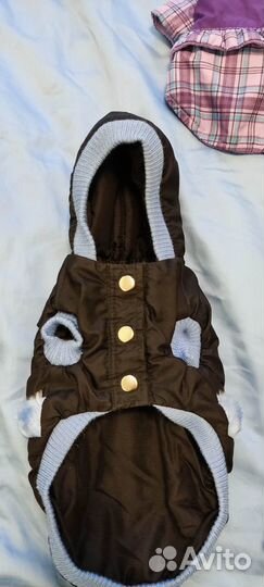 Одежда для маленькой собачки