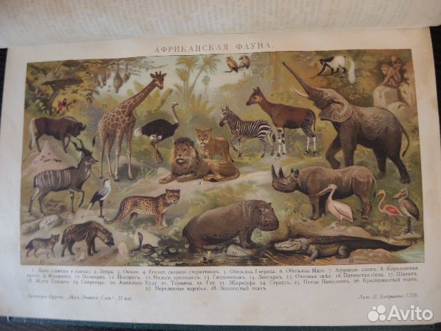 Малый энциклопедический словарь Брокгауза и Ефрона