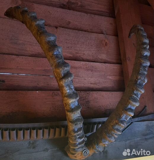 Декоративные рога