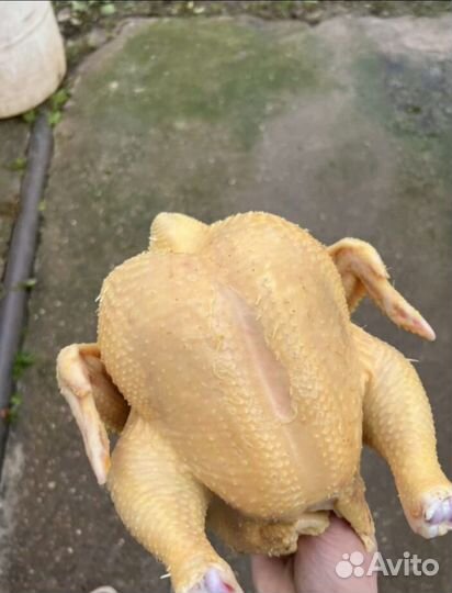 Оптом мясо
