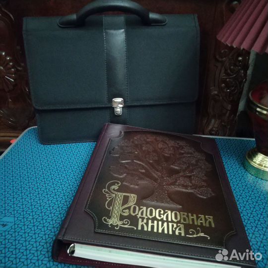 Родословная книга в портфеле