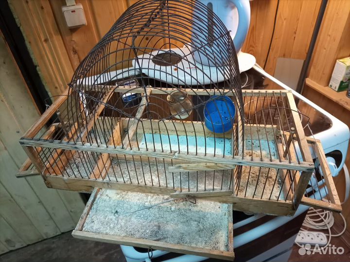 Клетка заподок