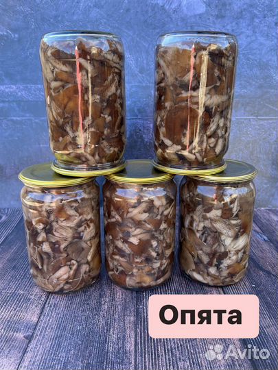 Грибы маринованные
