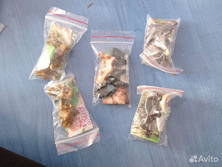 Kinder Natoons North Amerika 2021