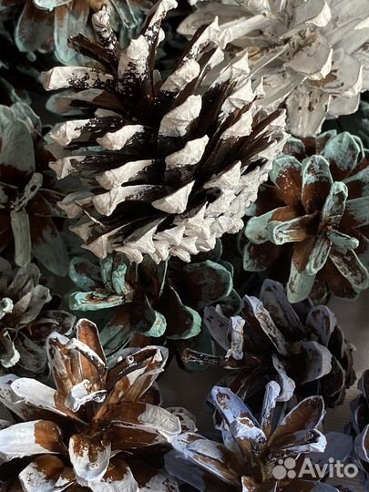 Шишки окрашенные для декора