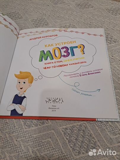 Андрей Курпатов Как устроен мозг детская книга