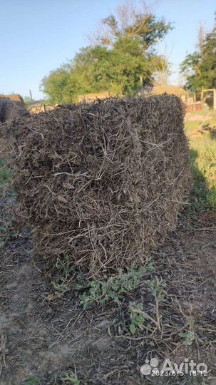 Тюки гороховая солома