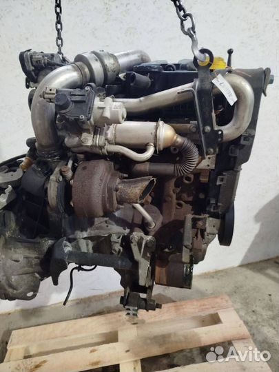 Двигатель K9K282 Nissan Qashqai 1 1.5 Дизель