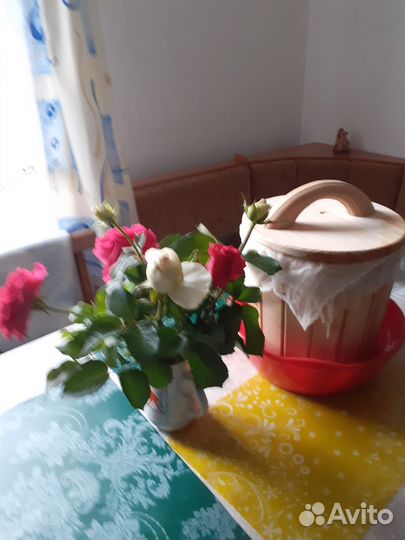 Кадушка кедровая