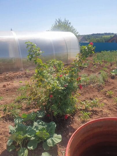 Дом 80 м² на участке 10 сот.