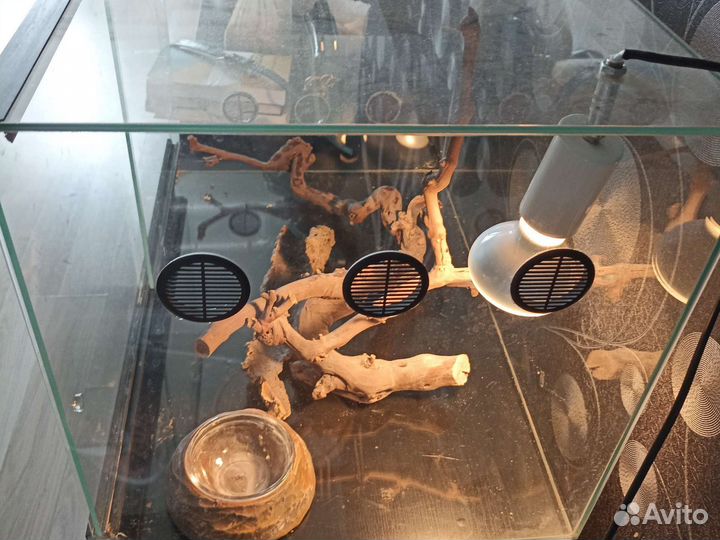 Аквариум для ящериц