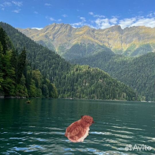 Мягкая игрушка черепаха вязаная