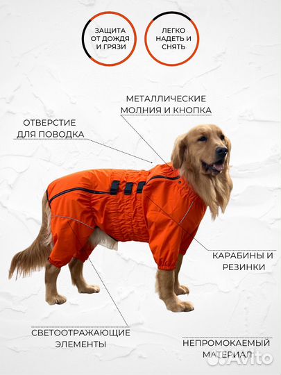 Комбинезон-дождевик для собаки