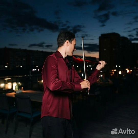 Скрипка на праздник