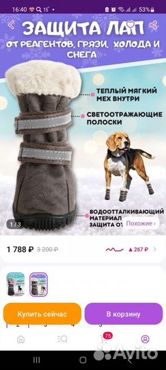 Обувь для собак