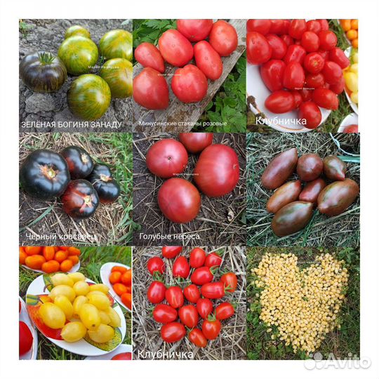 Семена томатов
