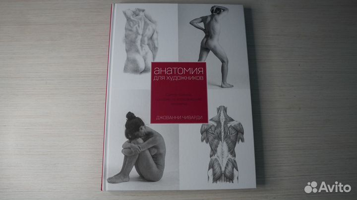 Анатомия для художников. Чиварди Джованни