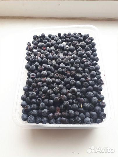 Ягоды, грибы лисички замороженные, грибы сушеные