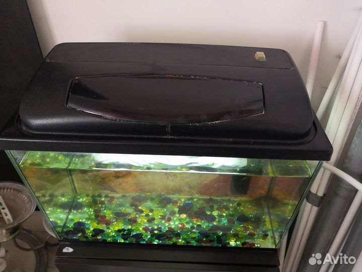 Аквариум бу