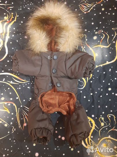 Одежда для маленьких собак xs