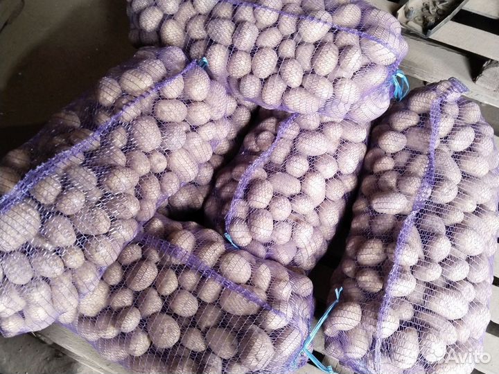 Продам картофель оптом
