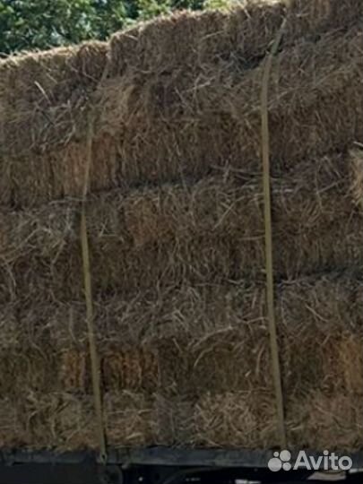Сено в тюках