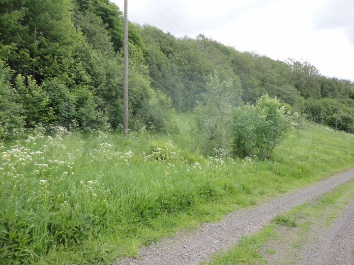 Участок 46 сот. (СНТ, ДНП)