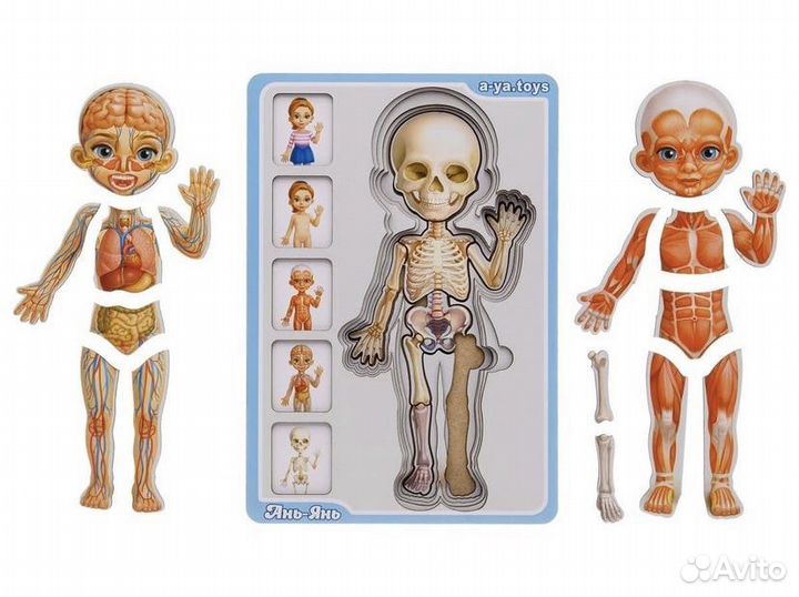 Пазл-сортер 