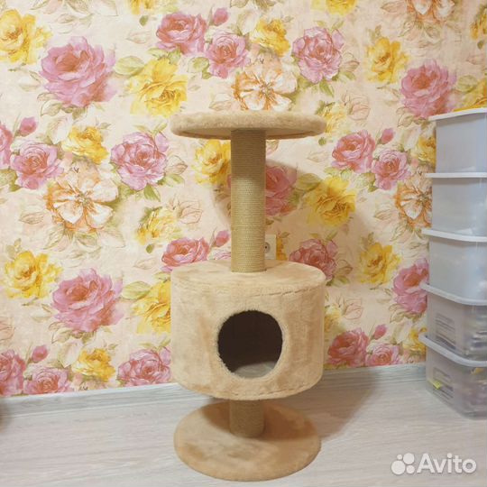 Новый домик для кота