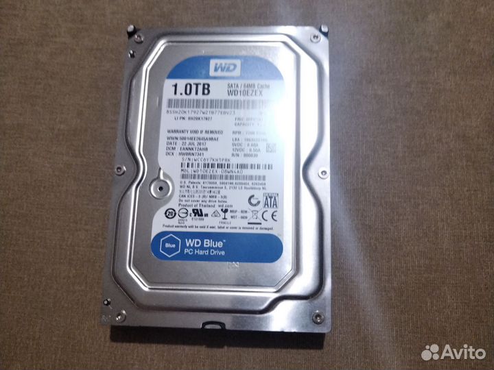 Жесткий диск 1 тб wd blue