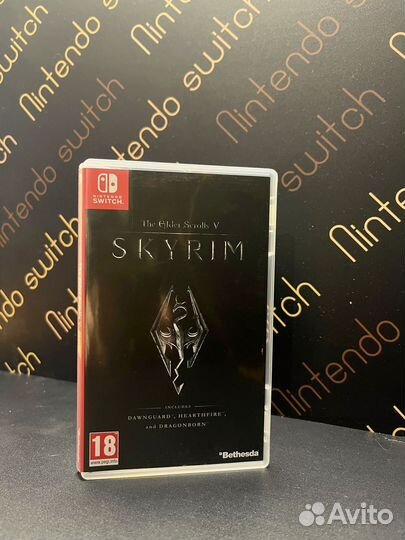 Nintendo switch skyrim