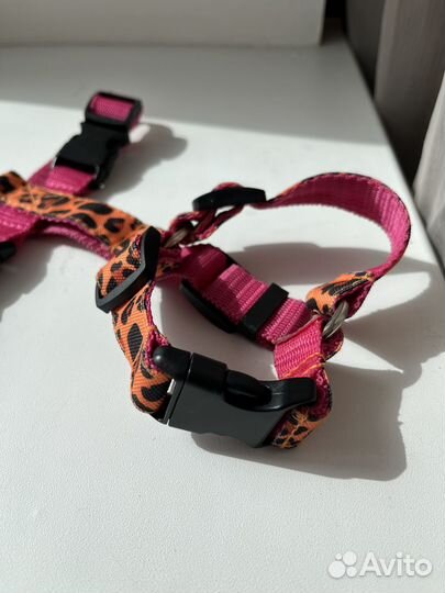 Анатомическая шлейка для собак