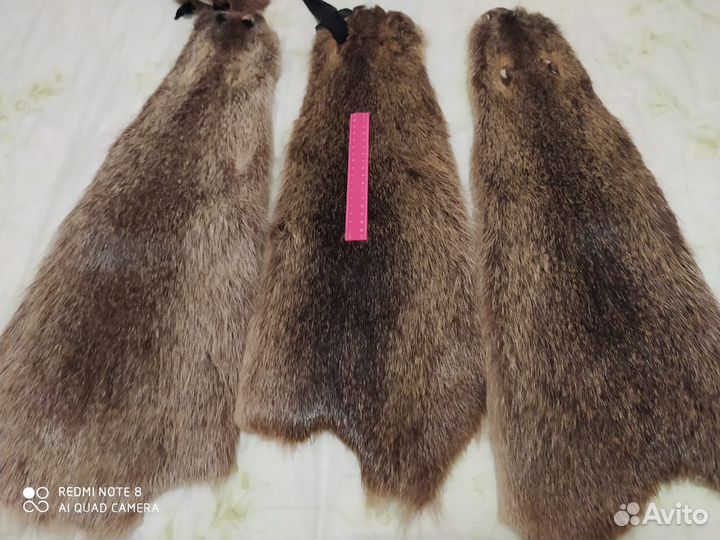 Мех нутрии