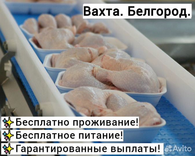 Разнорабочие на птицефабрику. Вахта. Белгород