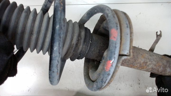 Амортизатор подвески Ford Transit, 2006