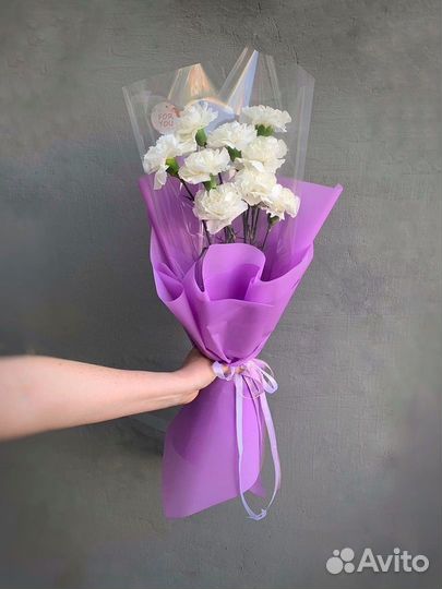 9 диантусов в упаковке.Доставка цветов Вологда