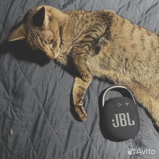 Bluetooth Портативная колонка JBL clip 4 блютуз