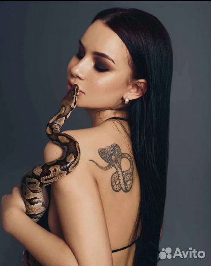 Аренда змей для фотосессии и видеосъёмки