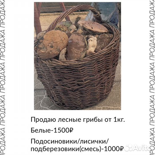 Игра белый гриб
